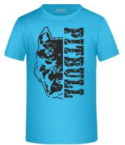 APBT Streetwear PITBULL DESTROYER KID póló TÜRKIZ
